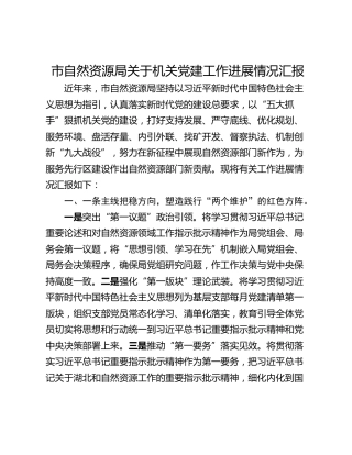 市自然资源局关于机关党建工作进展情况汇报