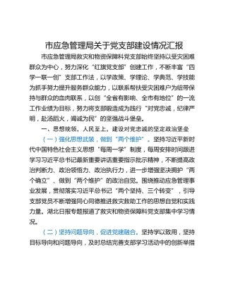 市应急管理局关于党支部建设情况汇报