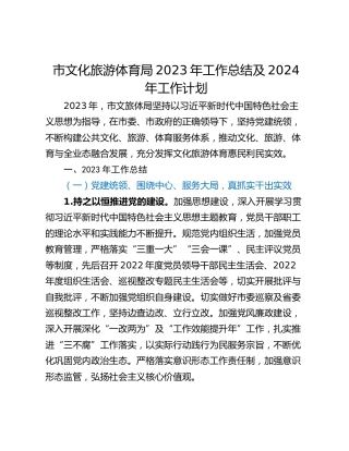 市文化旅游体育局2023年工作总结及2024年工作计划
