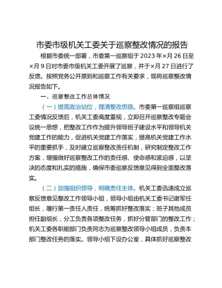 市委市级机关工委关于巡察整改情况的报告