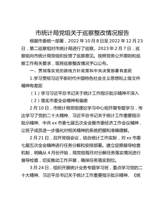市统计局党组关于巡察整改情况报告