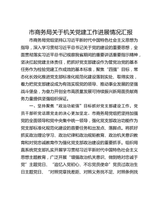 市商务局关于机关党建工作进展情况汇报