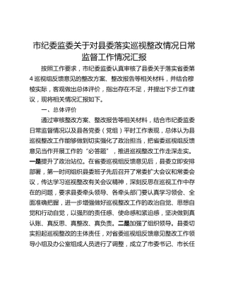 市纪委监委关于对县委落实巡视整改情况日常监督工作情况汇报
