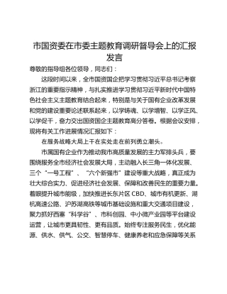 市国资委在市委主题教育调研督导会上的汇报发言 (2)