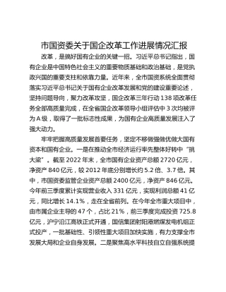 市国资委关于国企改革工作进展情况汇报
