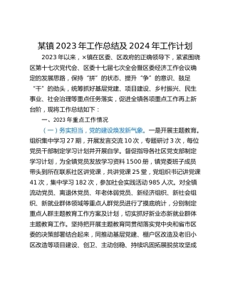 某镇2023年工作总结及2024年工作计划