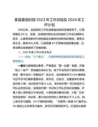 某县委组织部2023年工作总结及2024年工作计划