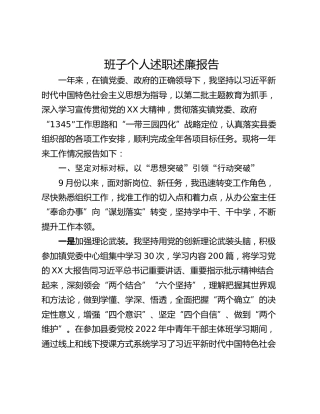 班子个人述职述廉报告