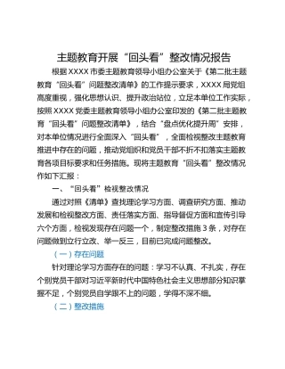 主题教育开展“回头看”整改情况报告