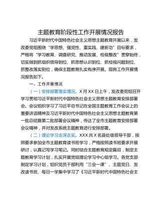 主题教育阶段性工作开展情况报告