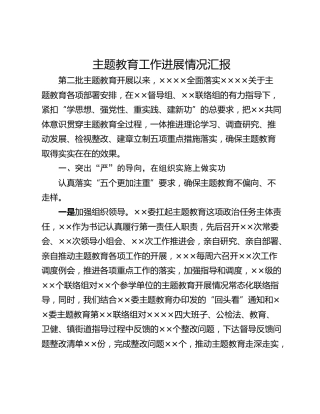 主题教育工作进展情况汇报
