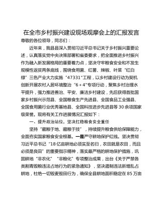 在全市乡村振兴建设现场观摩会上的汇报发言