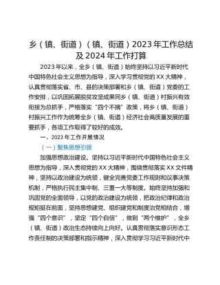 乡（镇、街道）（镇、街道）2023年工作总结及2024年工作打算