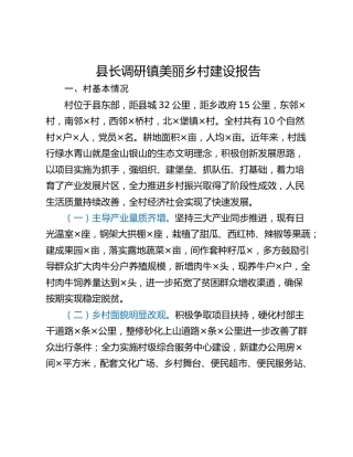 县长调研镇美丽乡村建设报告