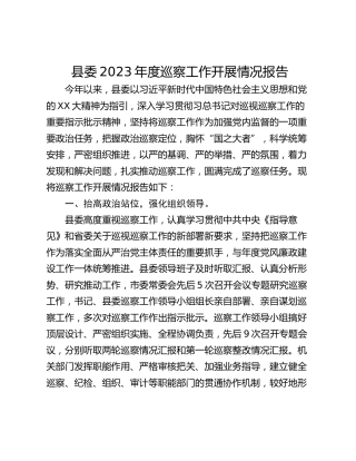 县委2023年度巡察工作开展情况报告