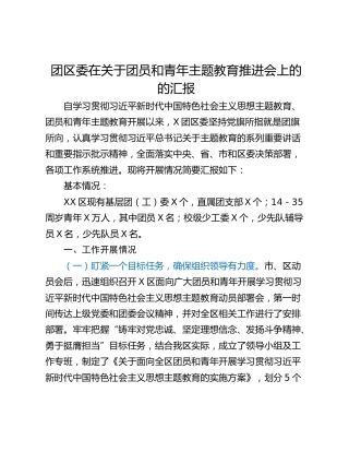 团区委在关于团员和青年主题教育推进会上的的汇报_1