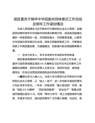 团区委关于铸牢中华民族共同体意识工作总结及明年工作谋划情况