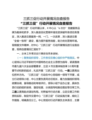 三抓三促行动开展情况自查报告