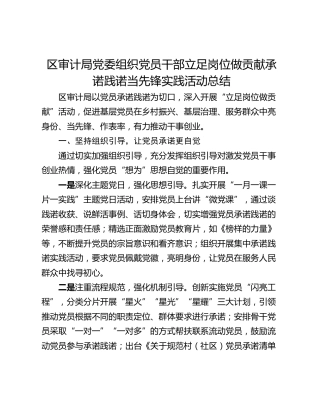 区审计局党委组织党员干部立足岗位做贡献承诺践诺当先锋实践活动总结