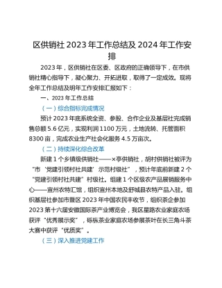 区供销社2023年工作总结及2024年工作安排