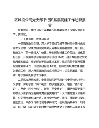 区城投公司党支部书记抓基层党建工作述职报告 (2)