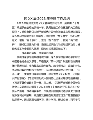 区XX局2023年党建工作总结