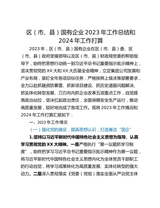 区（市、县）国有企业2023年工作总结和2024年工作打算