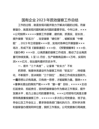 国有企业2023年质效督察工作总结