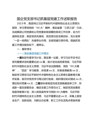国企党支部书记抓基层党建工作述职报告