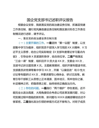 国企党支部书记述职评议报告