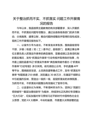 关于整治抓而不实、不抓落实 问题工作开展情况的报告