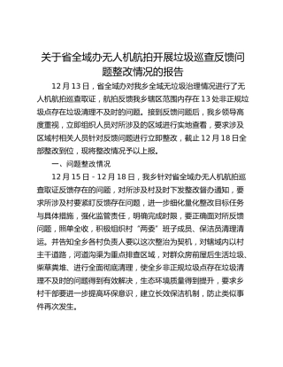 关于省全域办无人机航拍开展垃圾巡查反馈问题整改情况的报告