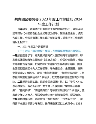 共青团区委员会2023年度工作总结及2024年度工作计划