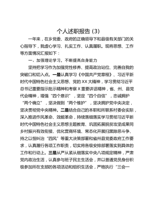 个人述职报告 (3)