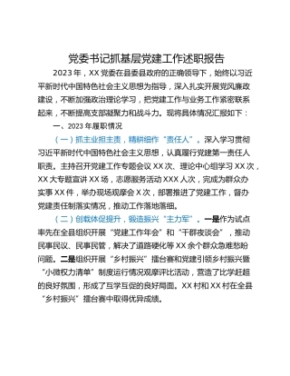 党委书记抓基层党建工作述职报告 (2)