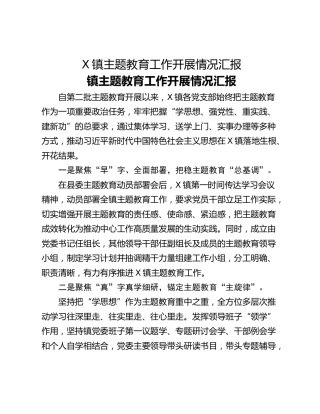 X镇主题教育工作开展情况汇报