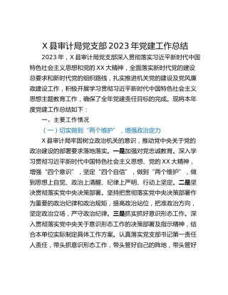 X县审计局党支部2023年党建工作总结