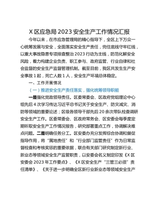 X区应急局2023安全生产工作情况汇报