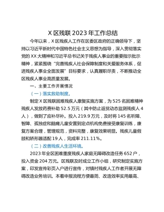 X区残联2023年工作总结