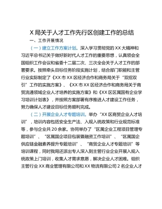 X局关于人才工作先行区创建工作的总结