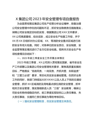 X集团公司2023年安全管理专项自查报告