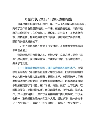 X副市长2023年述职述廉报告