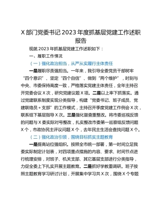 X部门党委书记2023年度抓基层党建工作述职报告