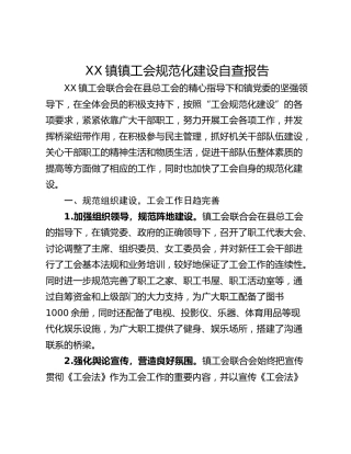 XX镇镇工会规范化建设自查报告