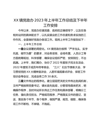 XX镇党政办2023年上半年工作总结及下半年工作安排