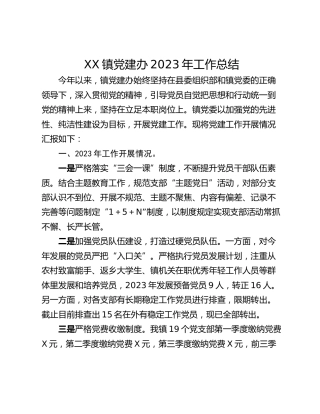 XX镇党建办2023年工作总结