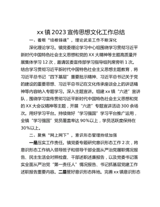 xx镇2023宣传思想文化工作总结