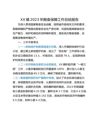 XX镇2023年粮食保障工作总结报告