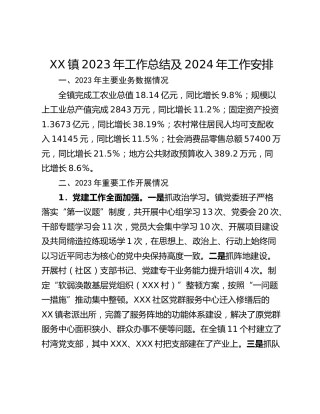 XX镇2023年工作总结及2024年工作安排