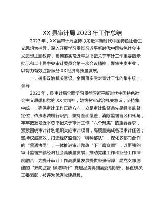 XX县审计局2023年工作总结